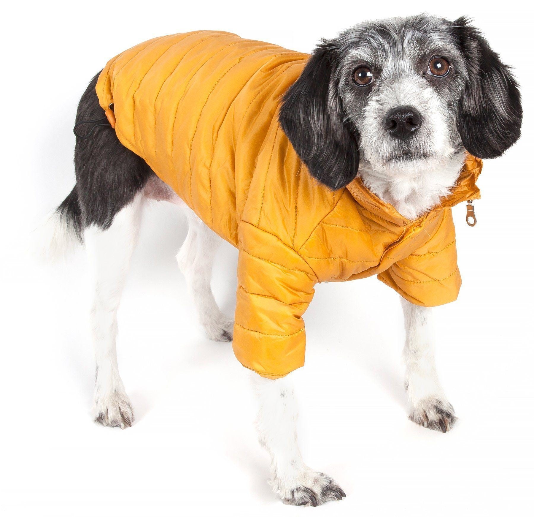 Pet Life ® Lightweight Adjustable and Collapsible 'Sporty Avalanche' Dog Coat w/ Pop-out Zippered Hood - BIG FRENCHIES