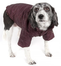 Pet Life ® Lightweight Adjustable and Collapsible 'Sporty Avalanche' Dog Coat w/ Pop-out Zippered Hood - BIG FRENCHIES