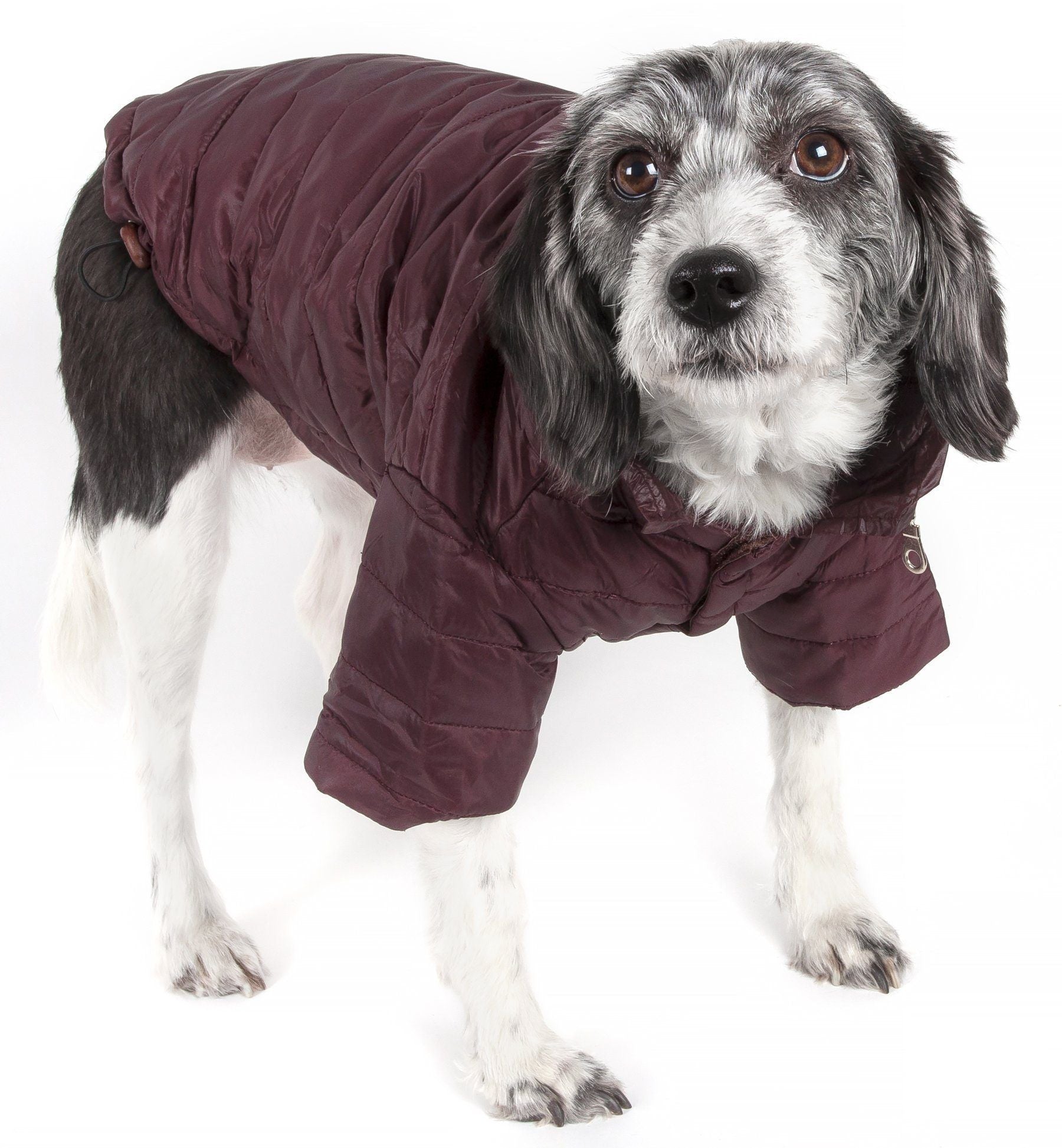 Pet Life ® Lightweight Adjustable and Collapsible 'Sporty Avalanche' Dog Coat w/ Pop-out Zippered Hood - BIG FRENCHIES