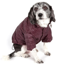 Pet Life ® Lightweight Adjustable and Collapsible 'Sporty Avalanche' Dog Coat w/ Pop-out Zippered Hood - BIG FRENCHIES