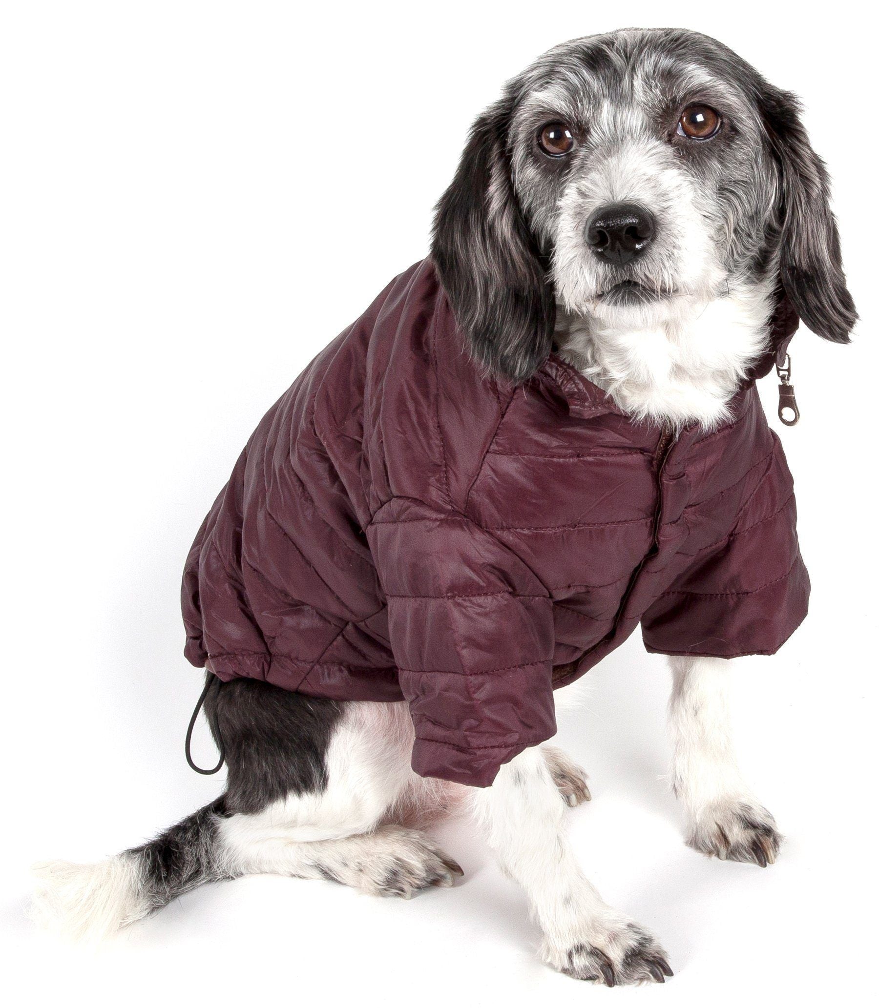 Pet Life ® Lightweight Adjustable and Collapsible 'Sporty Avalanche' Dog Coat w/ Pop-out Zippered Hood - BIG FRENCHIES