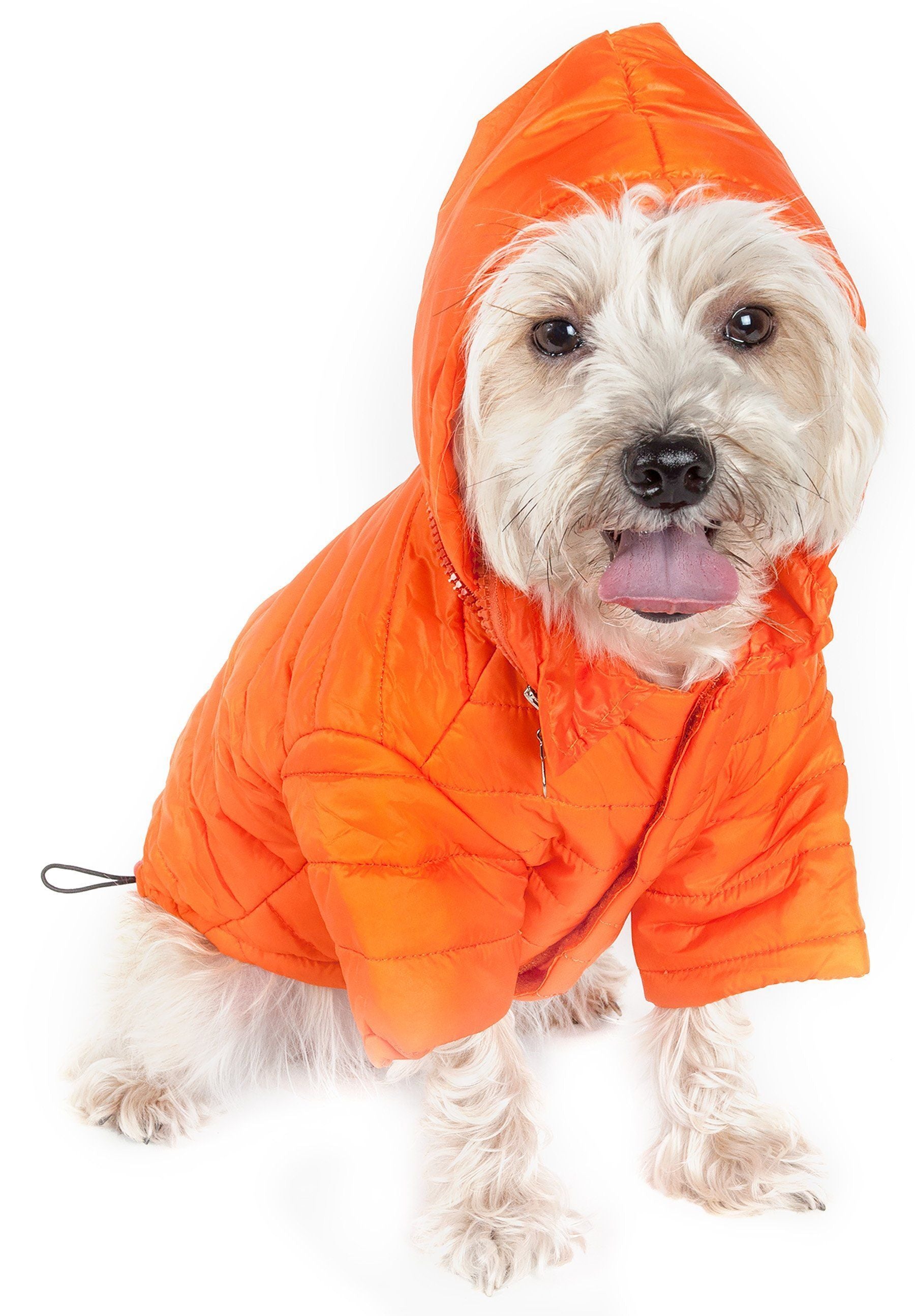 Pet Life ® Lightweight Adjustable and Collapsible 'Sporty Avalanche' Dog Coat w/ Pop-out Zippered Hood - BIG FRENCHIES