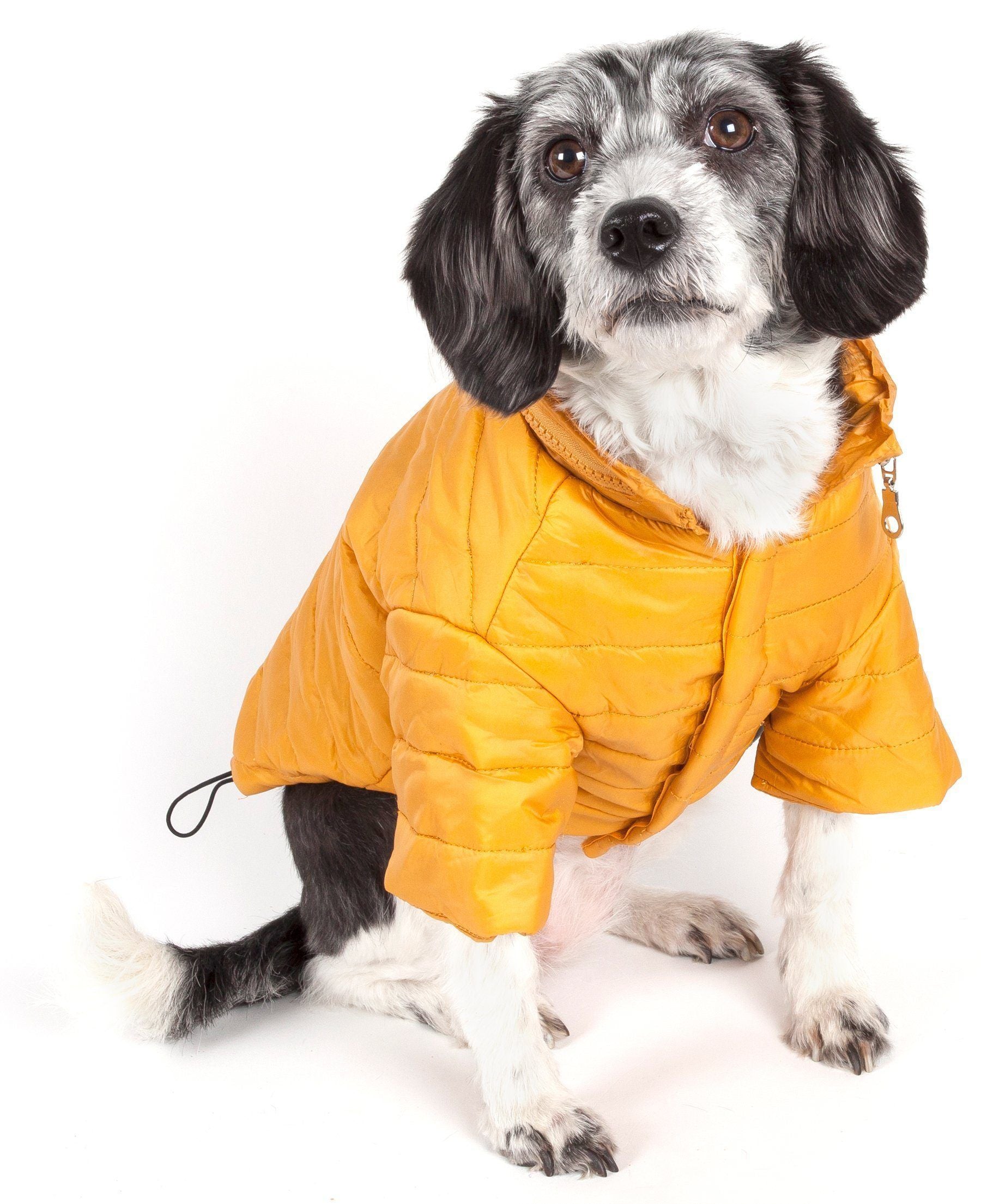 Pet Life ® Lightweight Adjustable and Collapsible 'Sporty Avalanche' Dog Coat w/ Pop-out Zippered Hood - BIG FRENCHIES