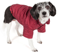 Pet Life ® Lightweight Adjustable and Collapsible 'Sporty Avalanche' Dog Coat w/ Pop-out Zippered Hood - BIG FRENCHIES