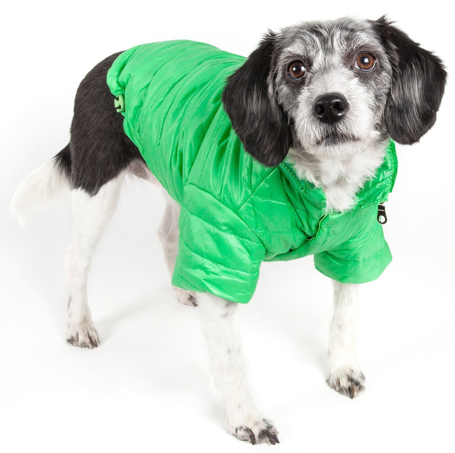 Pet Life ® Lightweight Adjustable and Collapsible 'Sporty Avalanche' Dog Coat w/ Pop-out Zippered Hood - BIG FRENCHIES