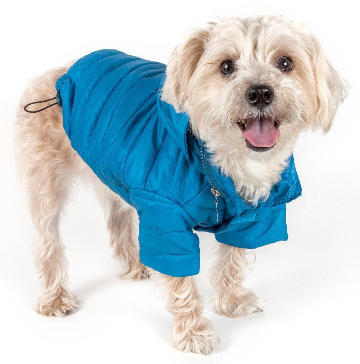 Pet Life ® Lightweight Adjustable and Collapsible 'Sporty Avalanche' Dog Coat w/ Pop-out Zippered Hood - BIG FRENCHIES