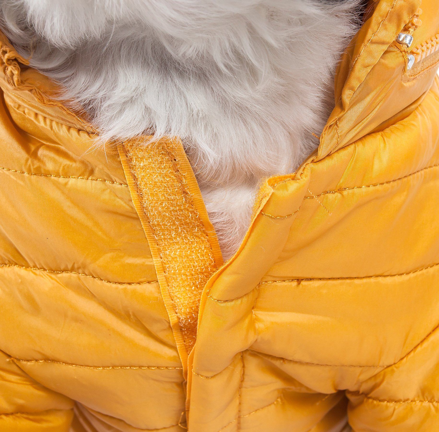 Pet Life ® Lightweight Adjustable and Collapsible 'Sporty Avalanche' Dog Coat w/ Pop-out Zippered Hood - BIG FRENCHIES