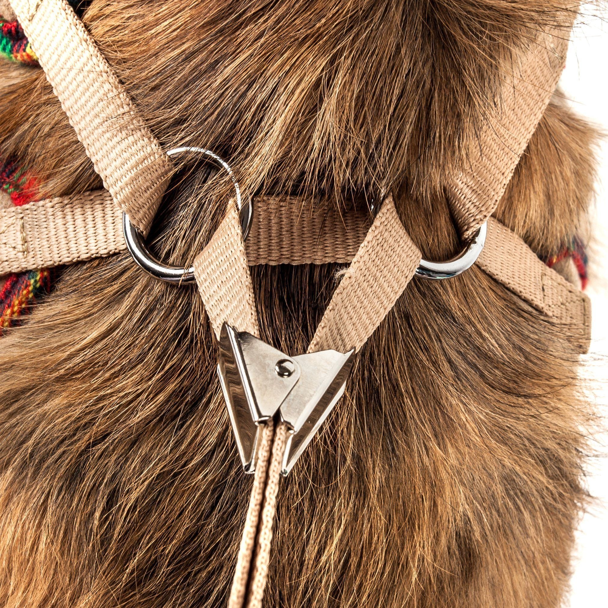 Pet Life ® Luxe 'Dapperbone' 2-In-1 Adjustable Fashion Dog Harness and Leash - BIG FRENCHIES
