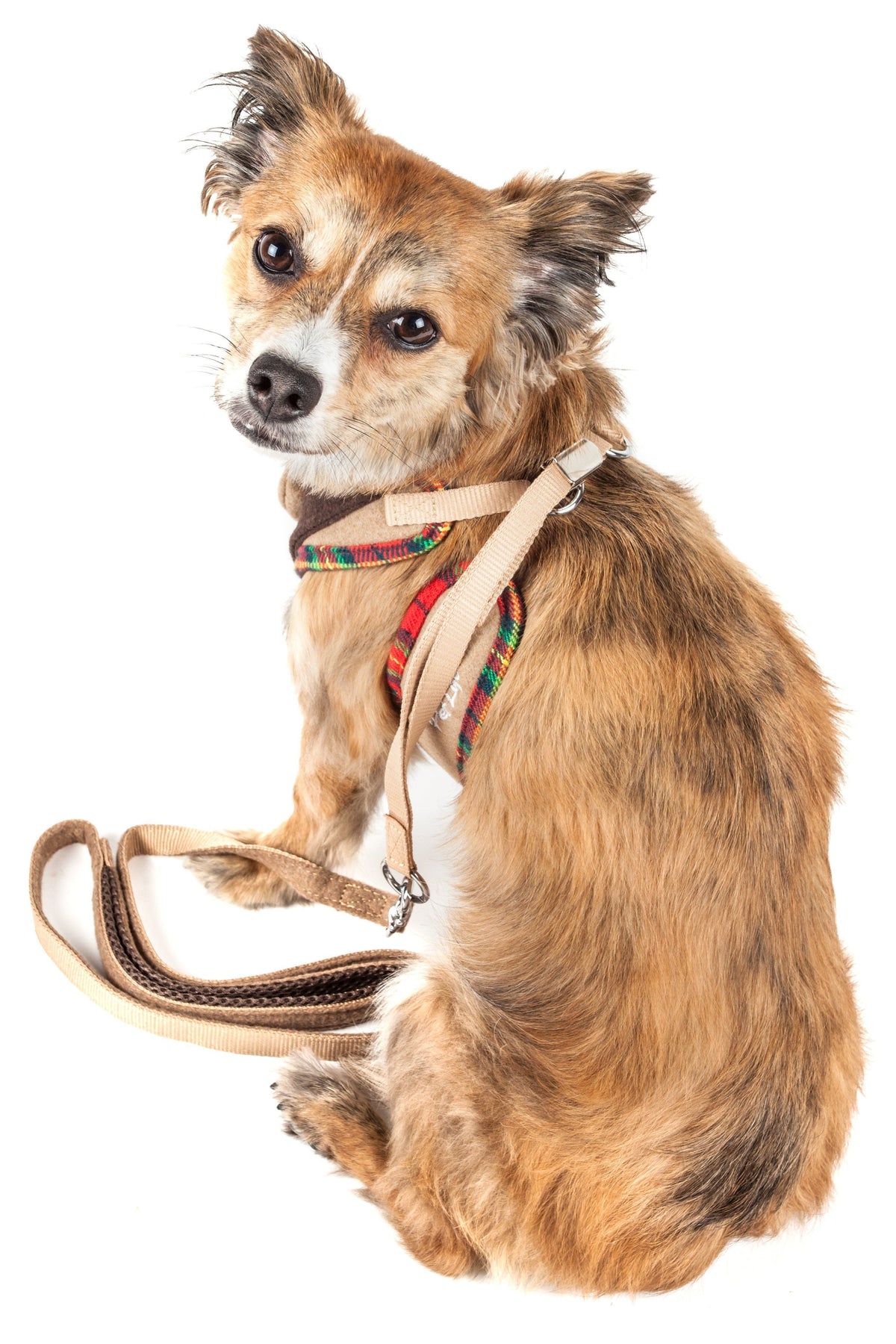 Pet Life ® Luxe 'Dapperbone' 2-In-1 Adjustable Fashion Dog Harness and Leash - BIG FRENCHIES