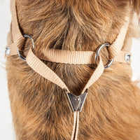 Pet Life ® Luxe 'Furracious' 2-In-1 Adjustable Dog Harness and Leash with Detachable Fur Collar - BIG FRENCHIES