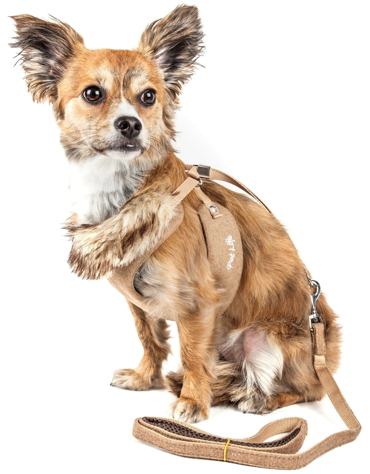 Pet Life ® Luxe 'Furracious' 2-In-1 Adjustable Dog Harness and Leash with Detachable Fur Collar - BIG FRENCHIES