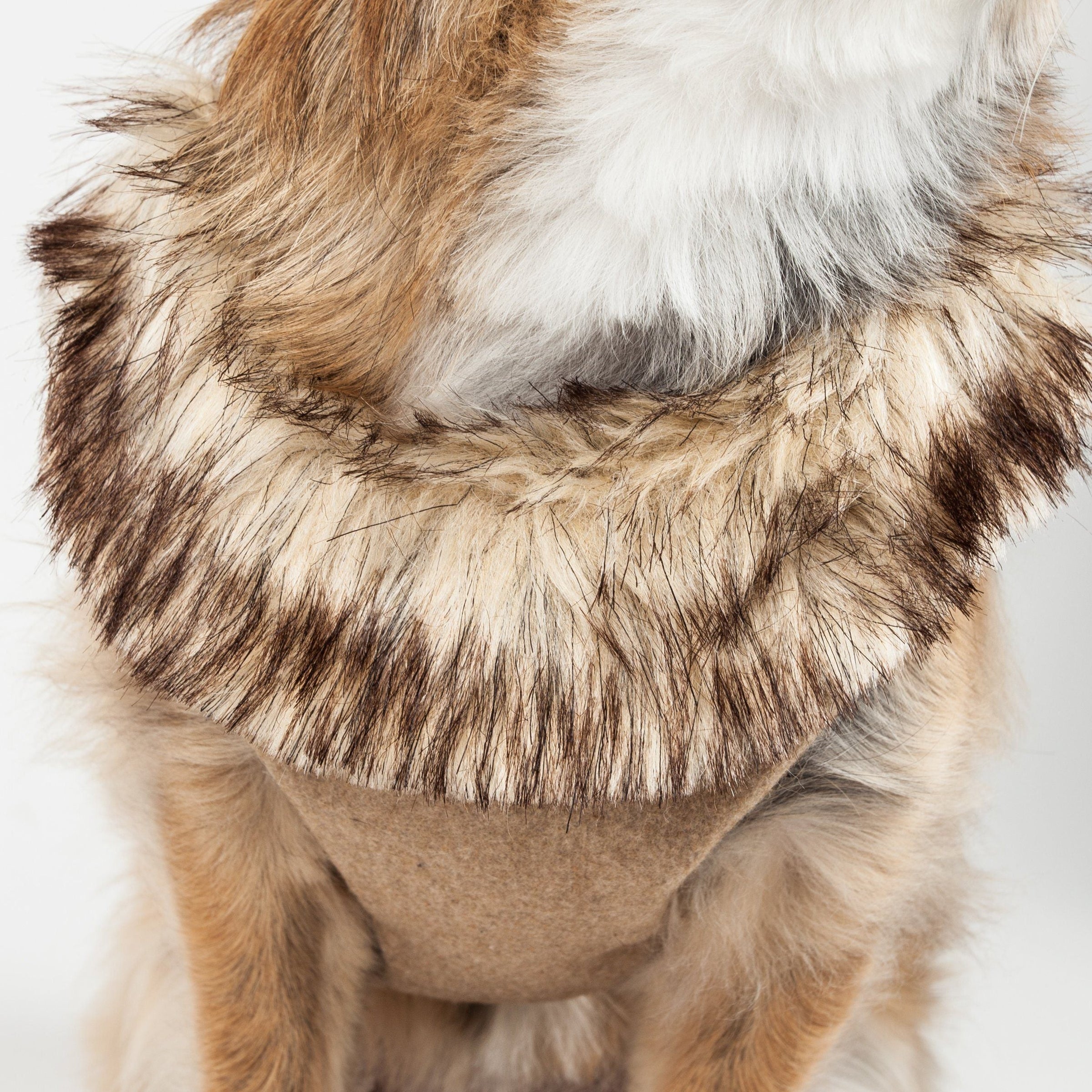 Pet Life ® Luxe 'Furracious' 2-In-1 Adjustable Dog Harness and Leash with Detachable Fur Collar - BIG FRENCHIES