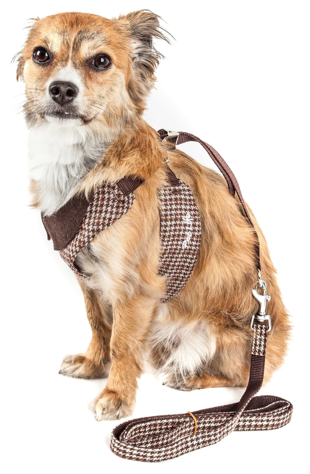 Pet Life ® Luxe 'Houndsome' 2-In-1 Adjustable Designer Dog Harness and Leash - BIG FRENCHIES