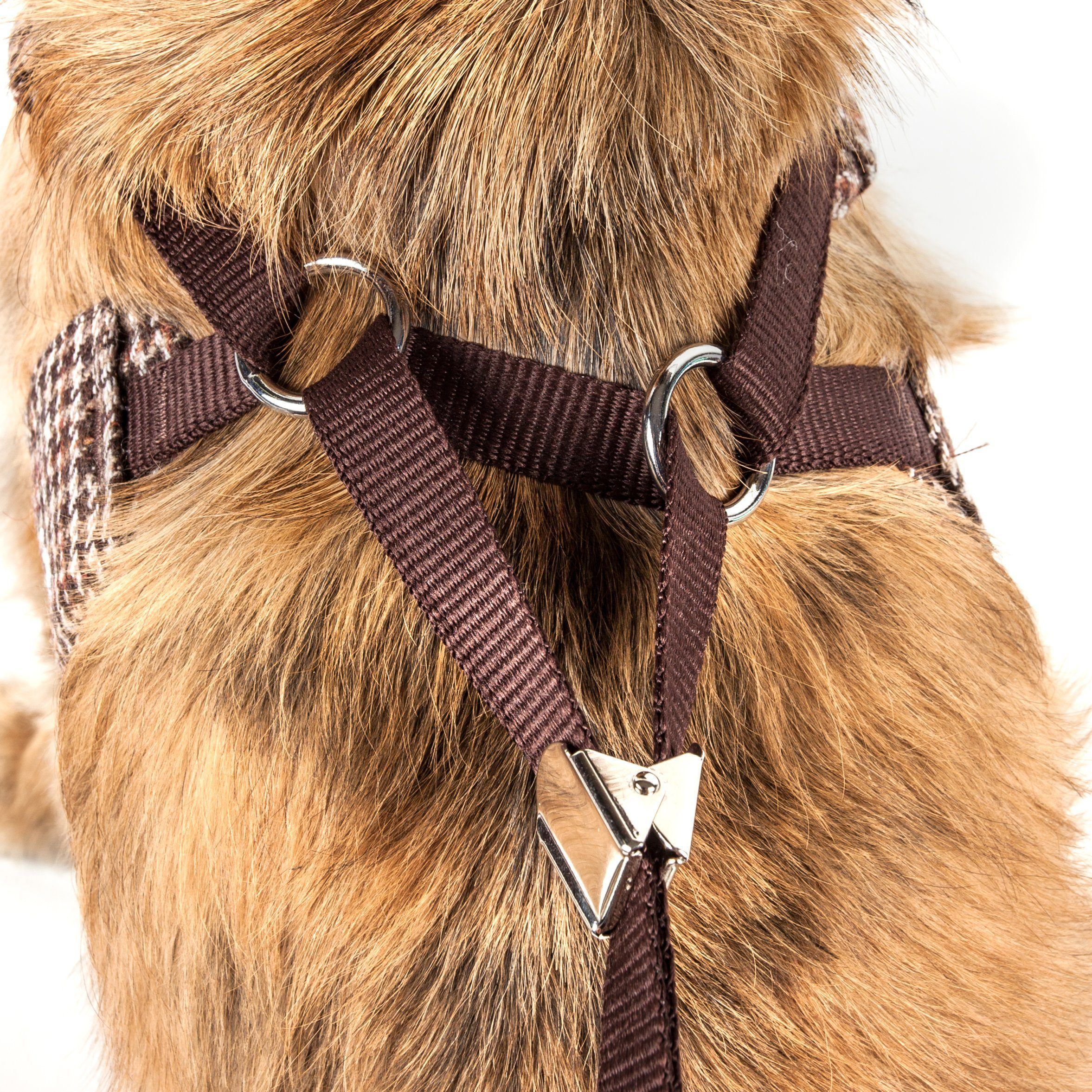 Pet Life ® Luxe 'Houndsome' 2-In-1 Adjustable Designer Dog Harness and Leash - BIG FRENCHIES