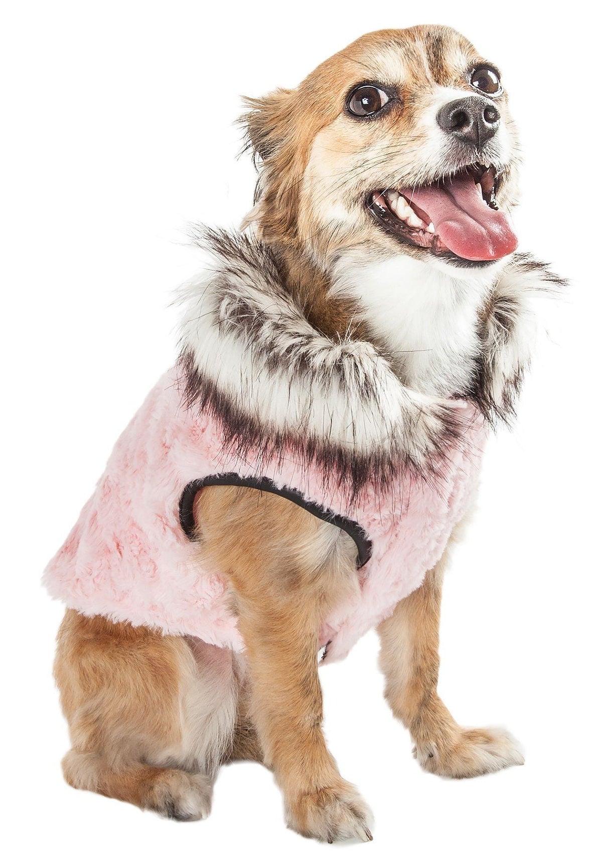 Pet Life ® Luxe 'Pinkachew' Charming Fashion Mink Fur Dog Coat - BIG FRENCHIES