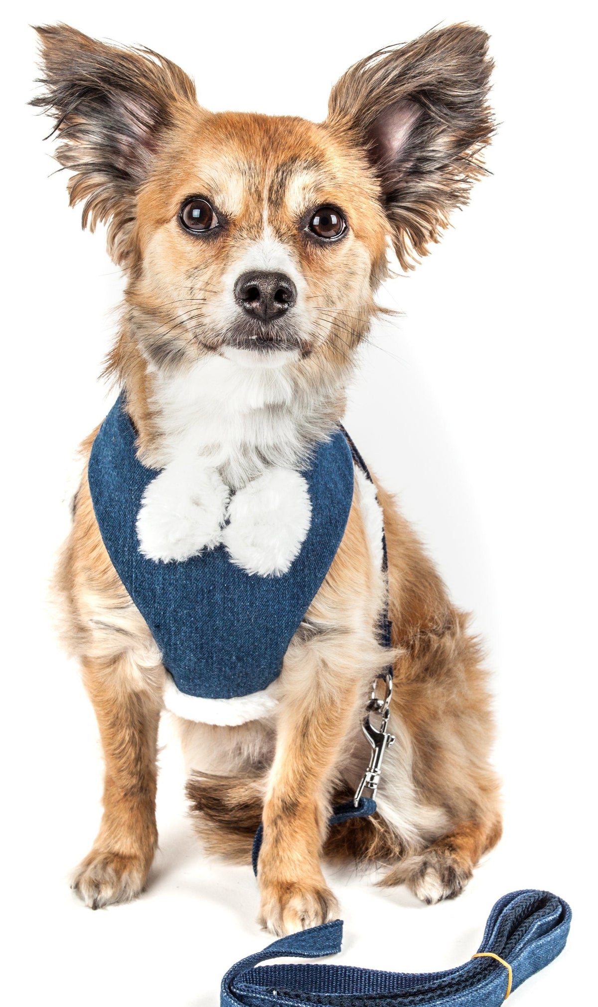Pet Life ® Luxe 'Pom Draper' 2-In-1 Adjustable Fashion Dog Harness and Leash - BIG FRENCHIES
