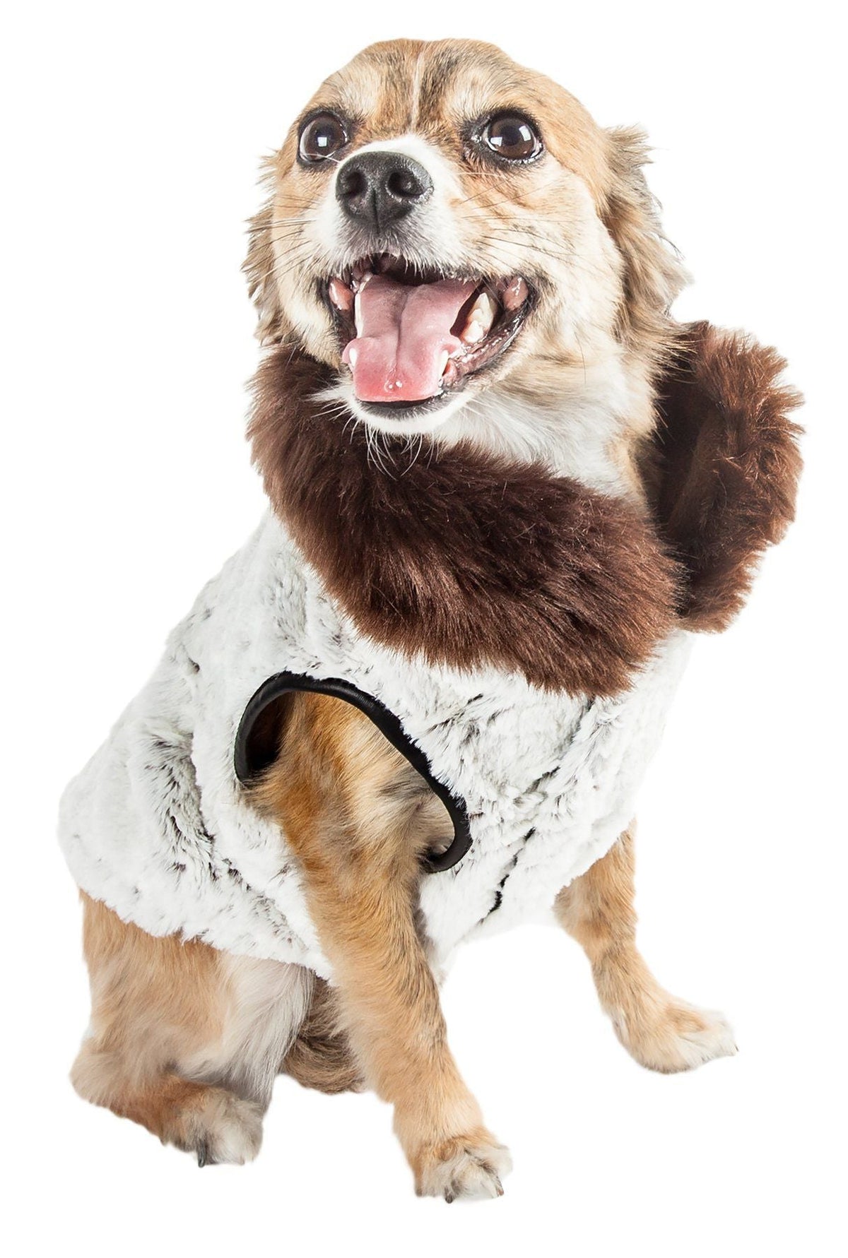 Pet Life ® Luxe 'Purrlage' Pelage Designer Fashion Fur Dog Coat - BIG FRENCHIES