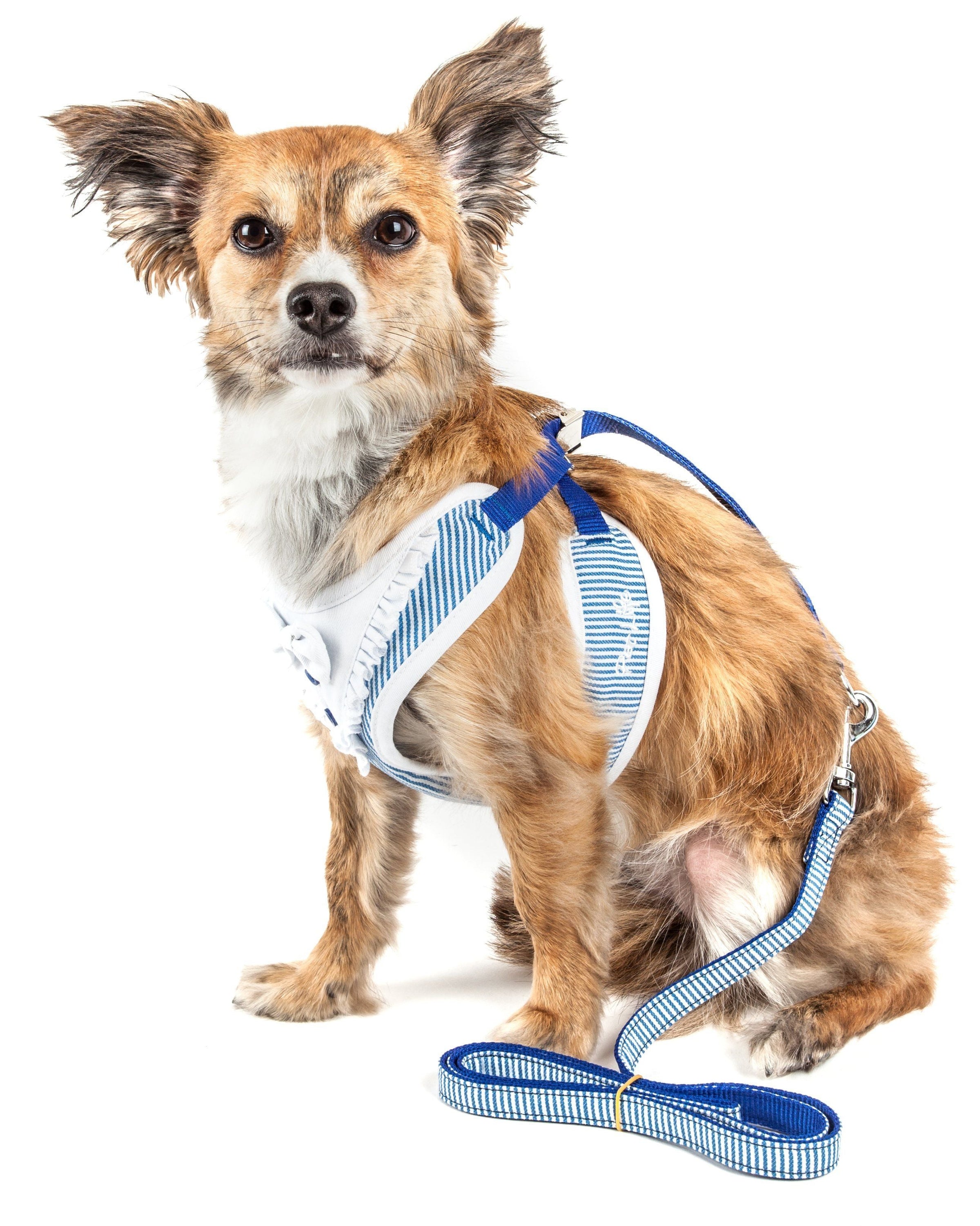 Pet Life ® Luxe 'Spawling' 2-In-1 Adjustable Fashion Dog Harness and Leash - BIG FRENCHIES
