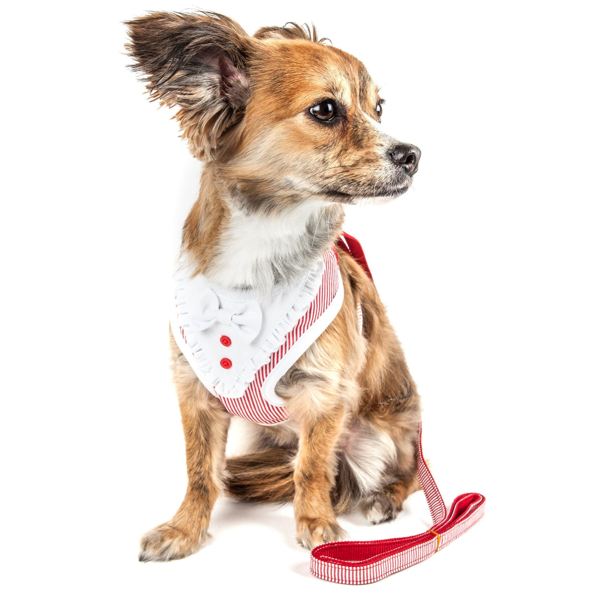 Pet Life ® Luxe 'Spawling' 2-In-1 Adjustable Fashion Dog Harness and Leash - BIG FRENCHIES