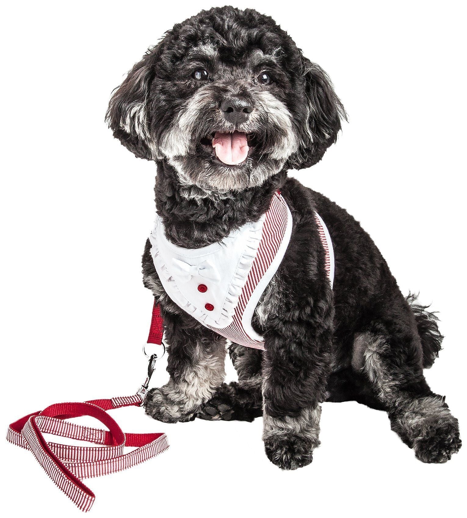 Pet Life ® Luxe 'Spawling' 2-In-1 Adjustable Fashion Dog Harness and Leash - BIG FRENCHIES