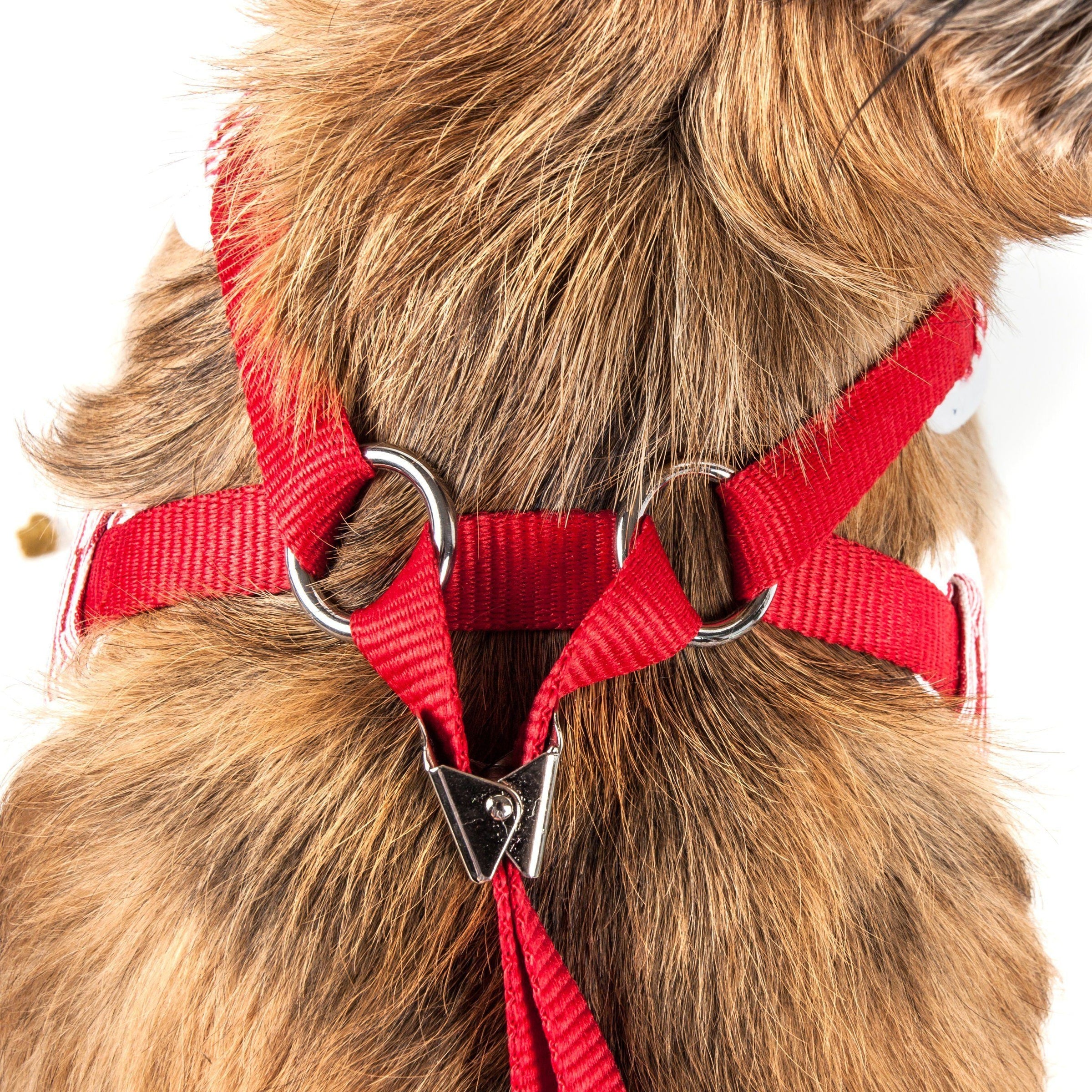 Pet Life ® Luxe 'Spawling' 2-In-1 Adjustable Fashion Dog Harness and Leash - BIG FRENCHIES