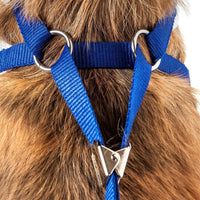 Pet Life ® Luxe 'Spawling' 2-In-1 Adjustable Fashion Dog Harness and Leash - BIG FRENCHIES