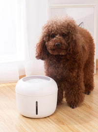 Pet Life ® 'Moda-Pure' Ultra-Quite Filtered Dog and Cat Fountain Waterer - BIG FRENCHIES