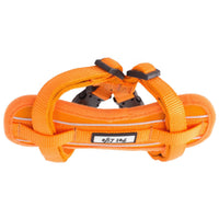 Pet Life ® 'Mountaineer' Chest Compressive Adjustable and Reflective Easy Pull Pet Dog Harness - BIG FRENCHIES