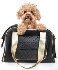 Pet Life ® Mystique Airline Approved Fashion Designer Travel Pet Dog Carrier w/ Pouch - BIG FRENCHIES