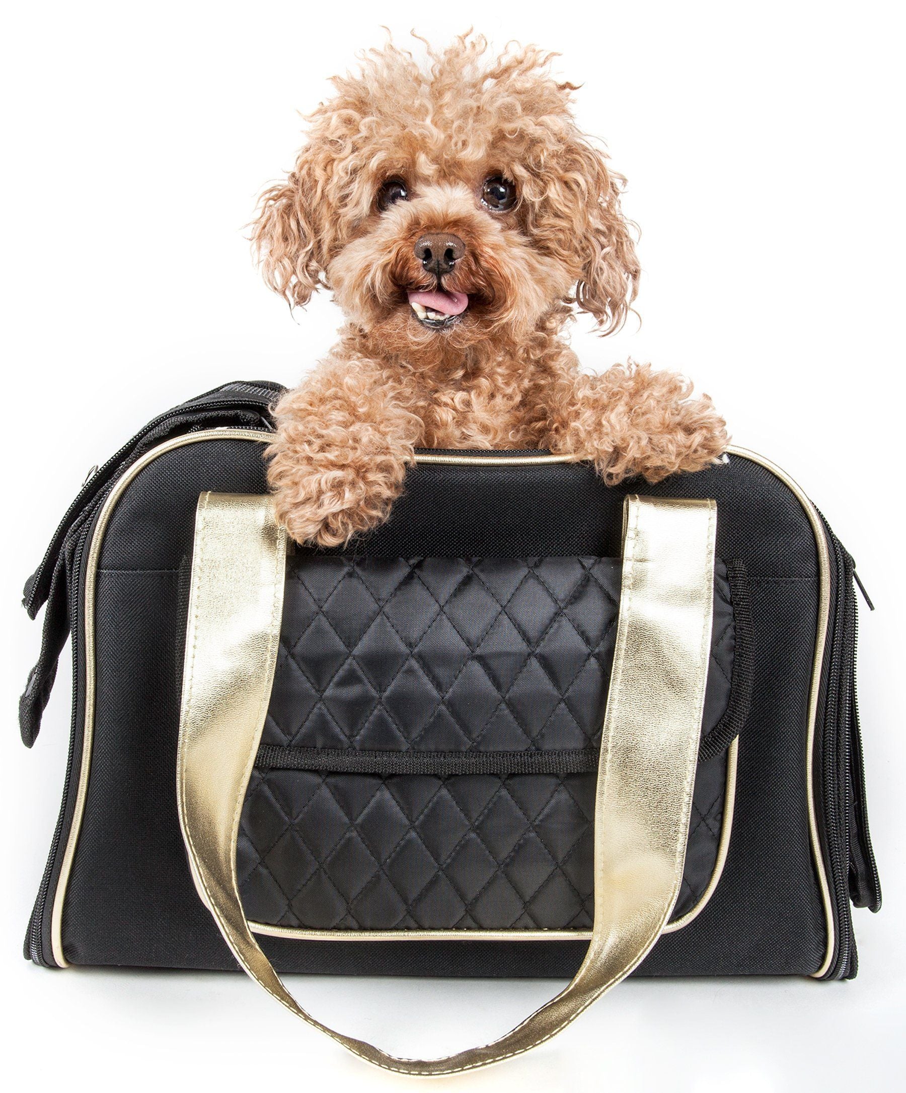 Pet Life ® Mystique Airline Approved Fashion Designer Travel Pet Dog Carrier w/ Pouch - BIG FRENCHIES