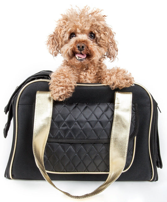 Pet Life ® Mystique Airline Approved Fashion Designer Travel Pet Dog Carrier w/ Pouch - BIG FRENCHIES