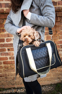 Pet Life ® Mystique Airline Approved Fashion Designer Travel Pet Dog Carrier w/ Pouch - BIG FRENCHIES