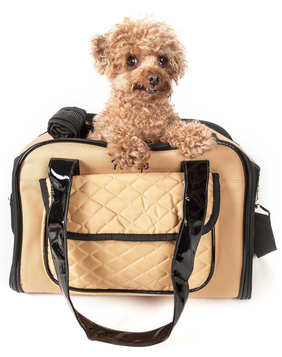Pet Life ® Mystique Airline Approved Fashion Designer Travel Pet Dog Carrier w/ Pouch - BIG FRENCHIES