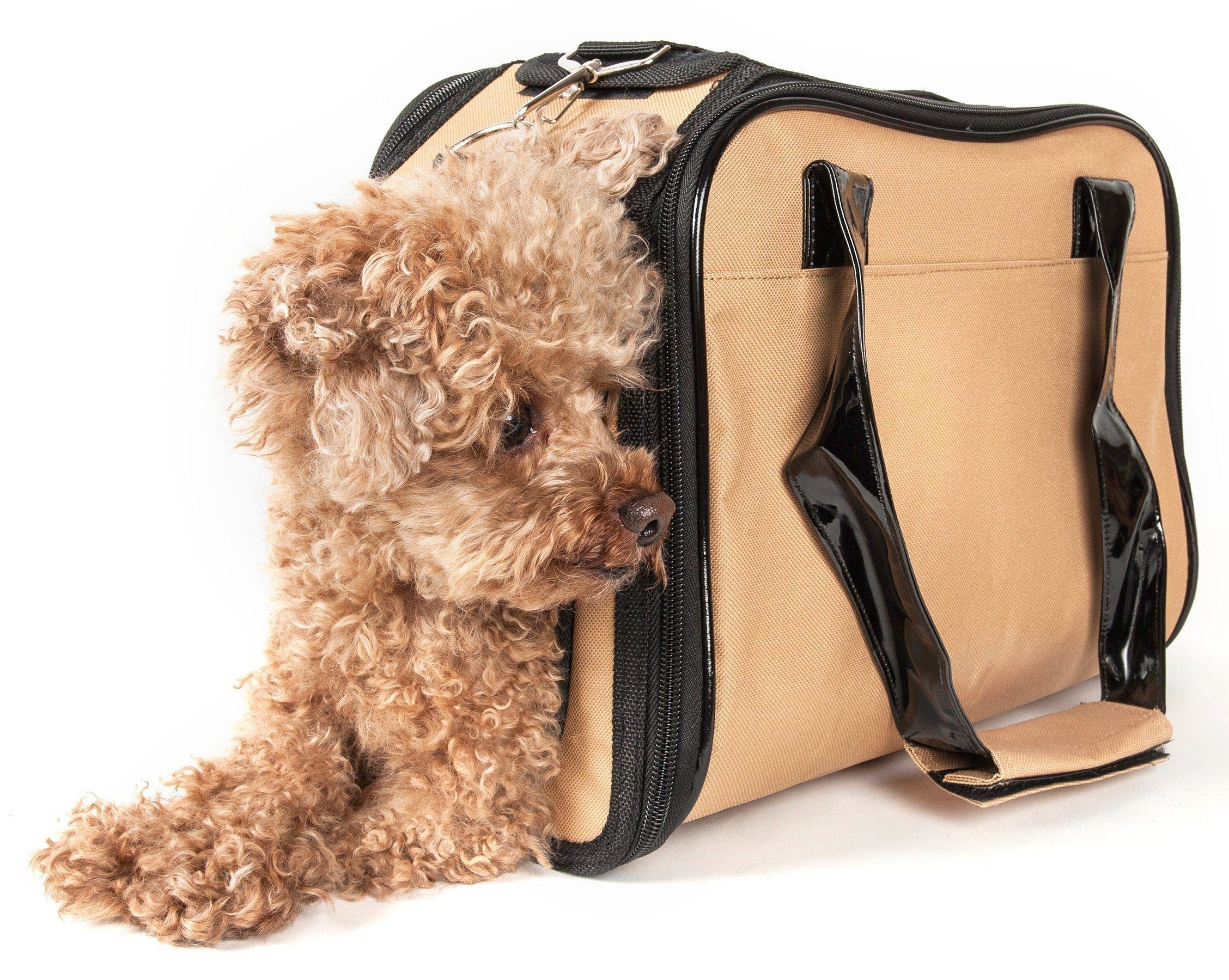 Pet Life ® Mystique Airline Approved Fashion Designer Travel Pet Dog Carrier w/ Pouch - BIG FRENCHIES