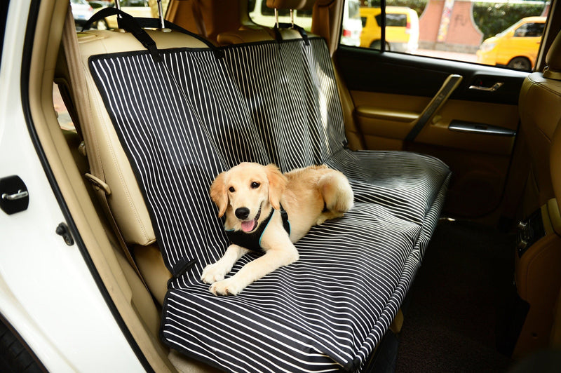 Pet Life ® 'Open Road' Full Back Seat Safety Child Pet Cat Dog Car Seat Carseat Cover Protector - BIG FRENCHIES