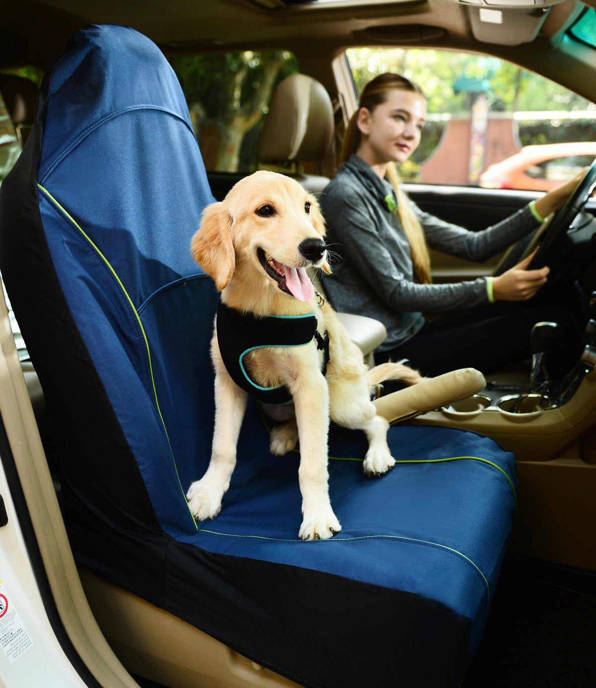 Pet Life ® 'Open Road' Single Seated Safety Child Pet Cat Dog Car Seat Carseat Cover Protector - BIG FRENCHIES