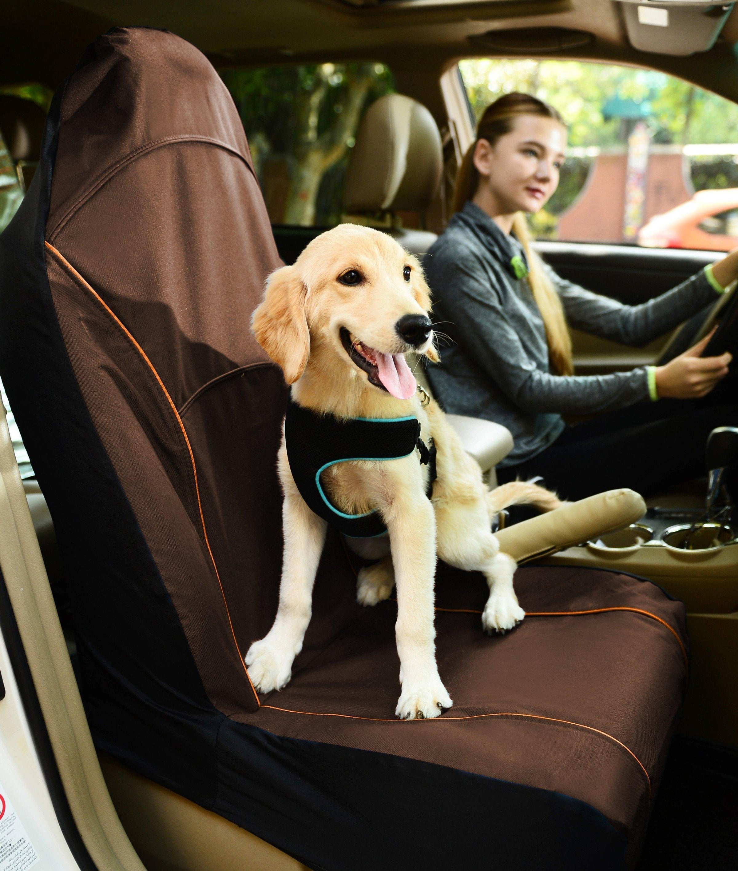 Pet Life ® 'Open Road' Single Seated Safety Child Pet Cat Dog Car Seat Carseat Cover Protector - BIG FRENCHIES