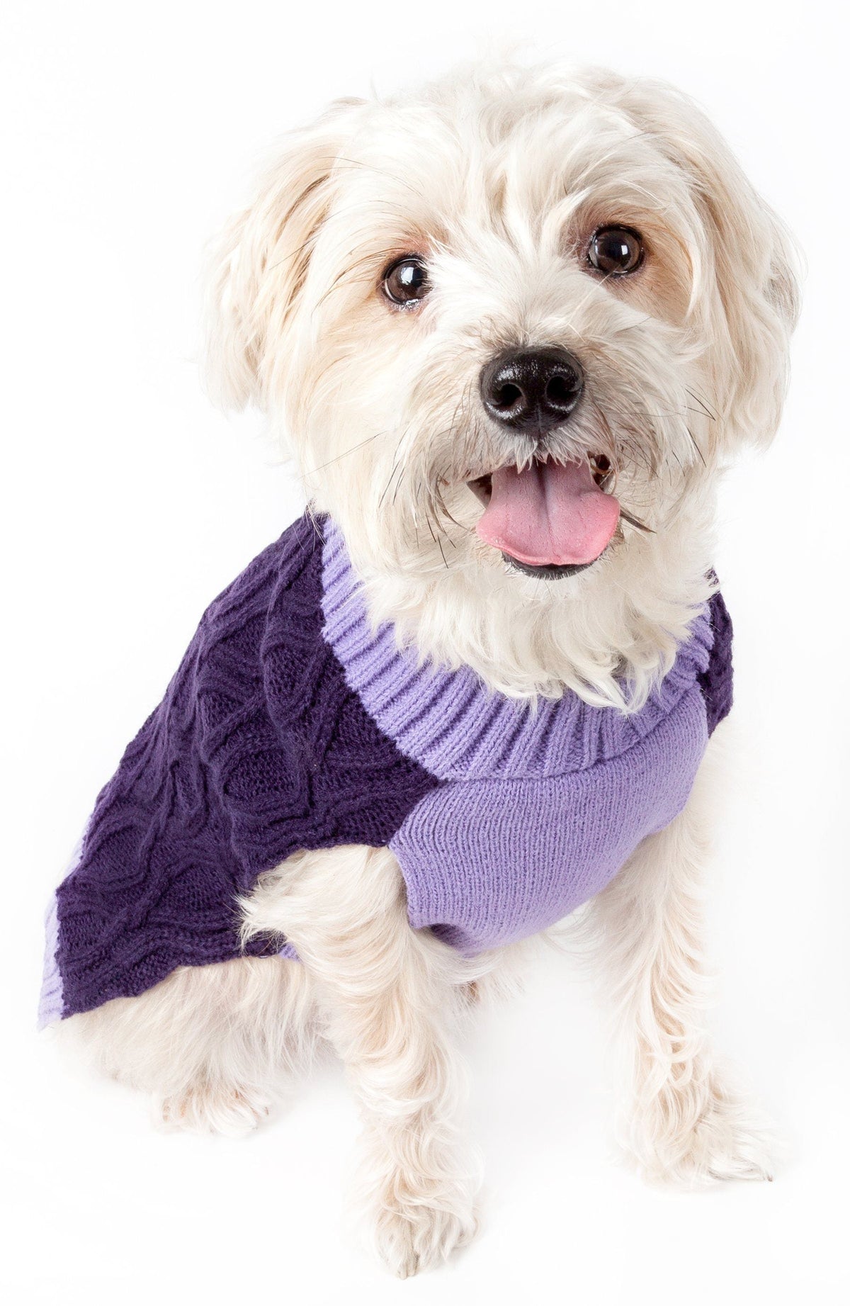 Pet Life ® Oval Weaved Heavy Knitted Fashion Designer Dog Sweater - BIG FRENCHIES