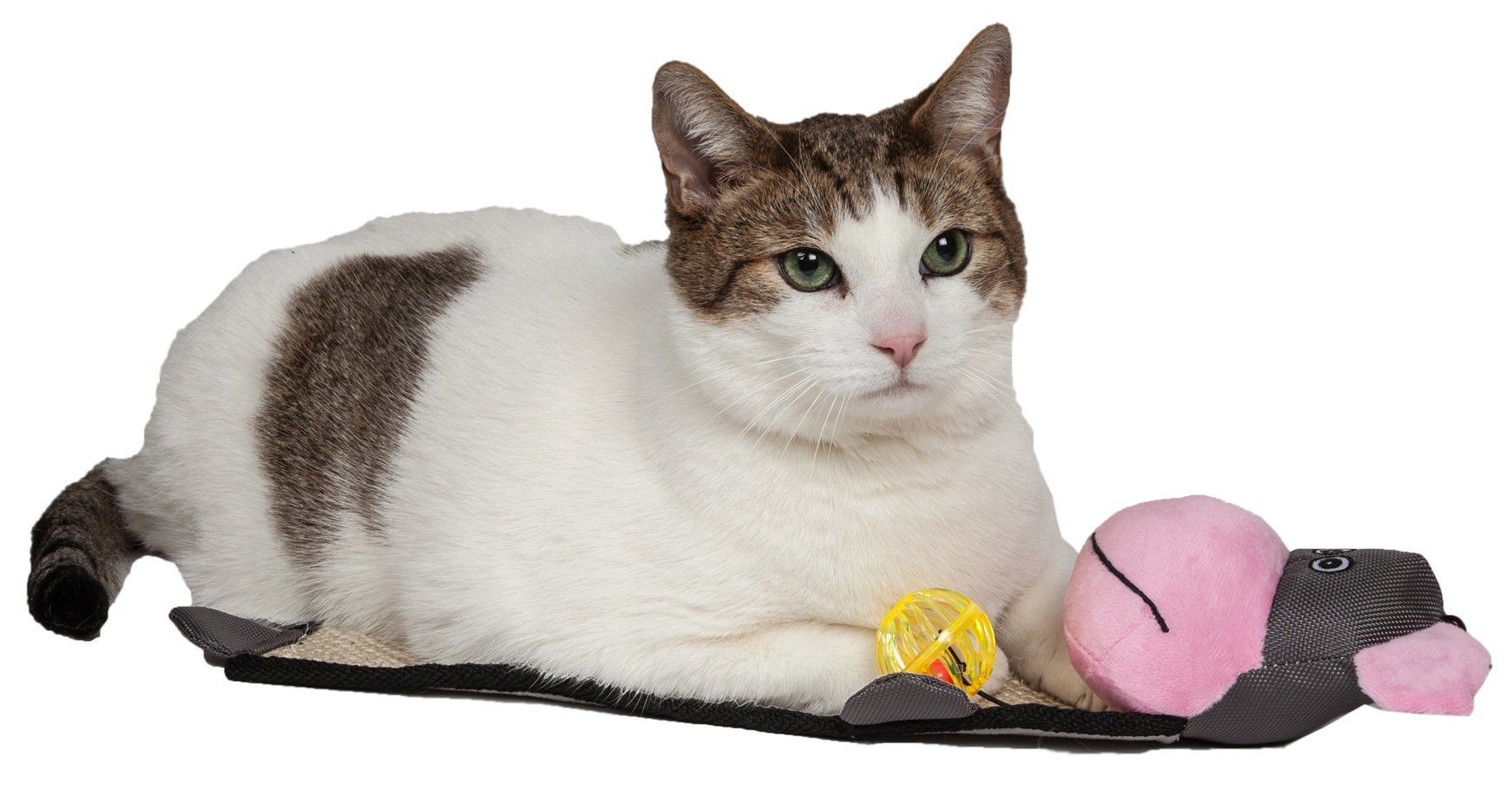 Pet Life ® 'Paw-Pleasant' Hanging Sisal & Jute Carpet Kitty Cat Scratcher with Toy - BIG FRENCHIES