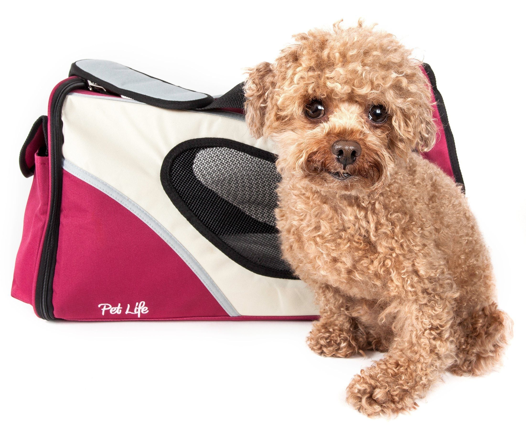 Pet Life ® 'Phenom-Air' Airline Approved Collapsible Fashion Designer Pet Dog Carrier - BIG FRENCHIES