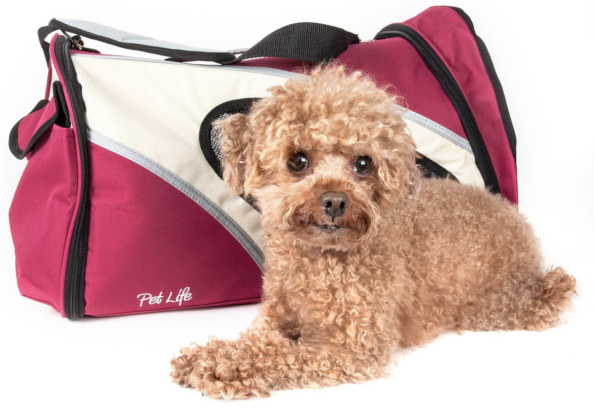 Pet Life ® 'Phenom-Air' Airline Approved Collapsible Fashion Designer Pet Dog Carrier - BIG FRENCHIES
