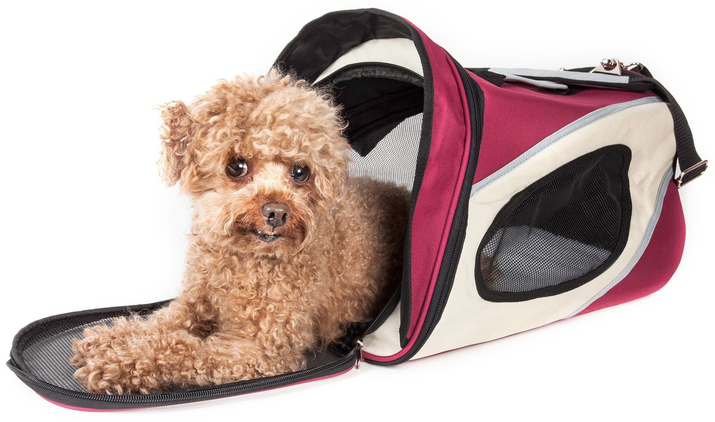 Pet Life ® 'Phenom-Air' Airline Approved Collapsible Fashion Designer Pet Dog Carrier - BIG FRENCHIES