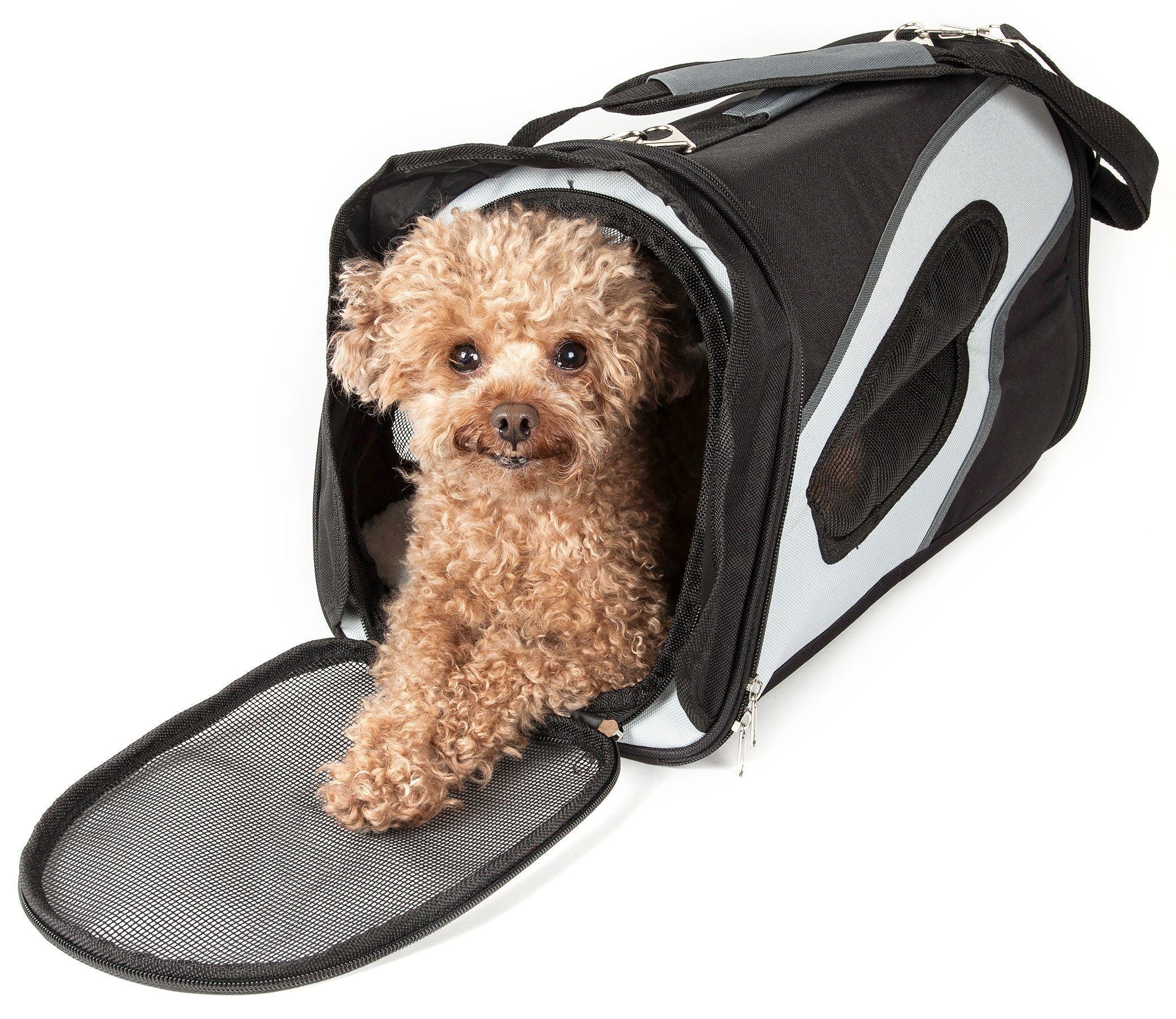 Pet Life ® 'Phenom-Air' Airline Approved Collapsible Fashion Designer Pet Dog Carrier - BIG FRENCHIES