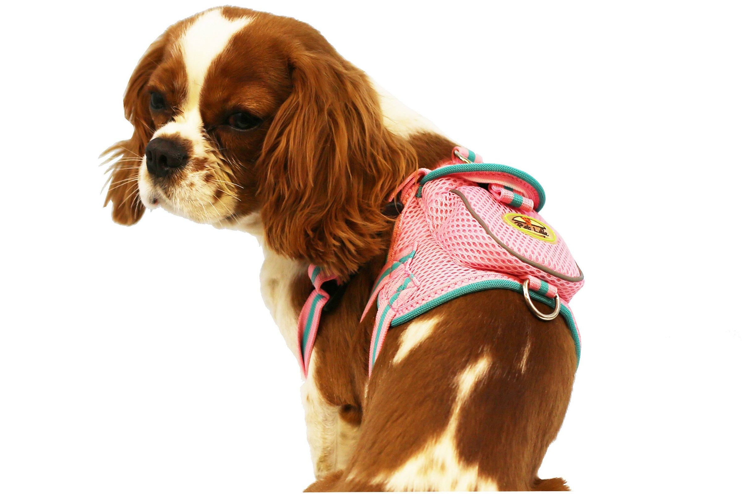 Pet Life ® 'Pocket Bark' Reflective Adjustable Fashion Pet Dog Harness w/ Hook-and-Loop Pouch and Dual Harness Rings - BIG FRENCHIES