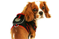 Pet Life ® 'Pocket Bark' Reflective Adjustable Fashion Pet Dog Harness w/ Hook-and-Loop Pouch and Dual Harness Rings - BIG FRENCHIES