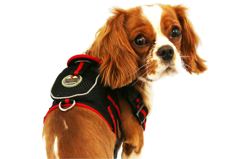 Pet Life ® 'Pocket Bark' Reflective Adjustable Fashion Pet Dog Harness w/ Hook-and-Loop Pouch and Dual Harness Rings - BIG FRENCHIES