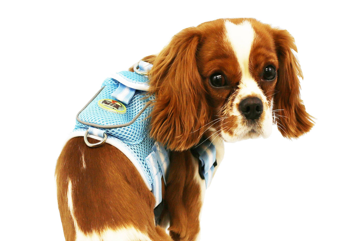 Pet Life ® 'Pocket Bark' Reflective Adjustable Fashion Pet Dog Harness w/ Hook-and-Loop Pouch and Dual Harness Rings - BIG FRENCHIES