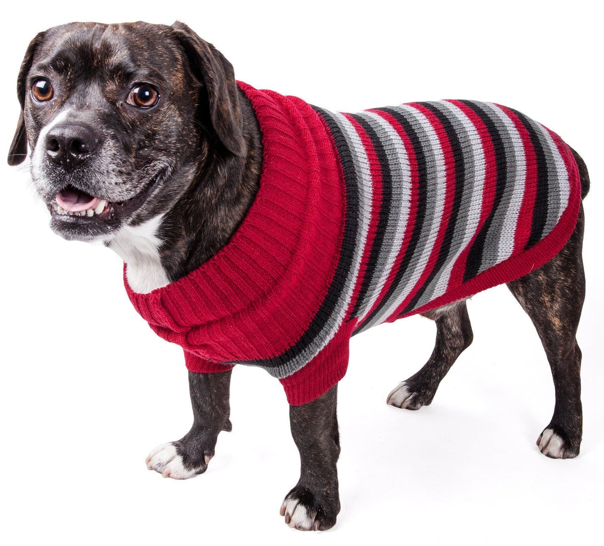 Pet Life ® 'Polo-Casual Lounge' Cable Knitted Designer Turtle Neck Dog Sweater - BIG FRENCHIES