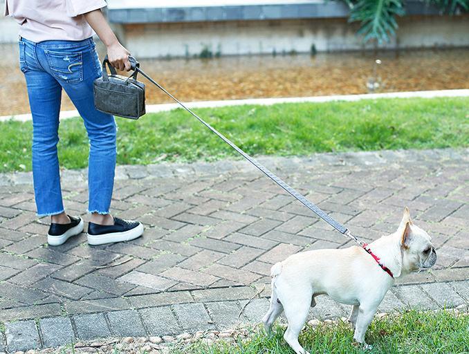 Pet Life ® 'Posh Walk' Purse Dog Leash, Accessory Holder and Waste Bag Dispenser - BIG FRENCHIES