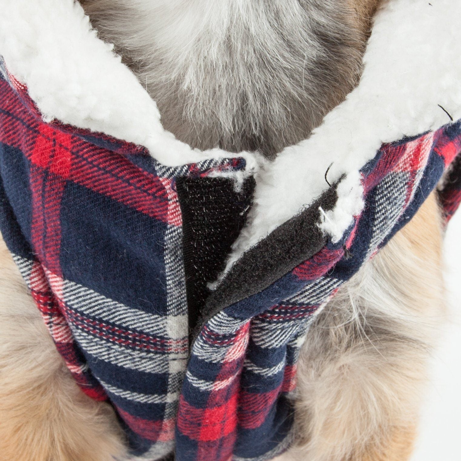 Pet Life ® 'Puddler' Classical Insulated Fashion Plaid Dog Coat - BIG FRENCHIES